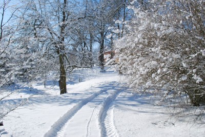 Žampach Arboretum - zima 2019 (64)