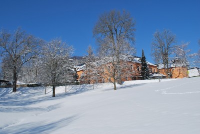 Žampach Arboretum - zima 2019 (6)