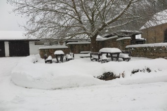 Zima 2019 - sněhová nadílka (8.1.)