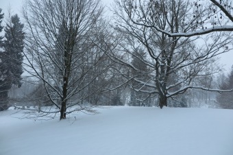 Zima 2019 - sněhová nadílka (8.1.)