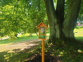 2023 Památné stromy Arboreta Žampach