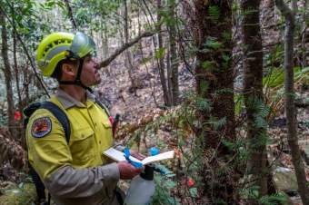 2020 - firefighting - Wollemia - This is incredible work from the NSW National Parks and Wildlife Service (NPWS) firefighters and the NSW Rural Fire Service.