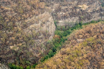 2020 - firefighting - Wollemia - This is incredible work from the NSW National Parks and Wildlife Service (NPWS) firefighters and the NSW Rural Fire Service.