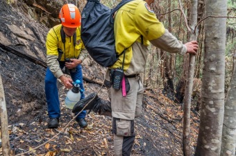 2020 - firefighting - Wollemia - This is incredible work from the NSW National Parks and Wildlife Service (NPWS) firefighters and the NSW Rural Fire Service.