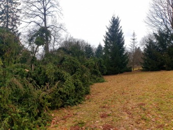 Škody po silném větru v 02/2022 - dolní park
