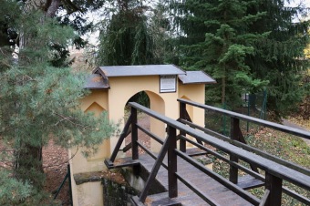 2021 Čarověník a Pseudotsuga menziesii - douglaska tisolistá v horním parku (fota z koruny stromů) v 11/2021