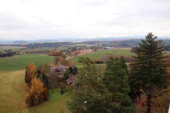 2021 Čarověník a Pseudotsuga menziesii - douglaska tisolistá v horním parku (fota z koruny stromů) v 11/2021