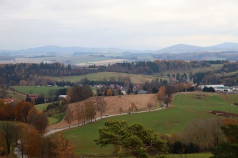 2021 Čarověník a Pseudotsuga menziesii - douglaska tisolistá v horním parku (fota z koruny stromů) v 11/2021
