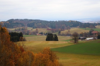 2021 Čarověník a Pseudotsuga menziesii - douglaska tisolistá v horním parku (fota z koruny stromů) v 11/2021