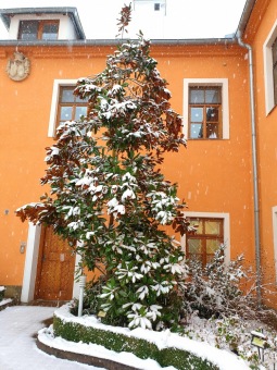 2021 Zima v Arboretu Žampach