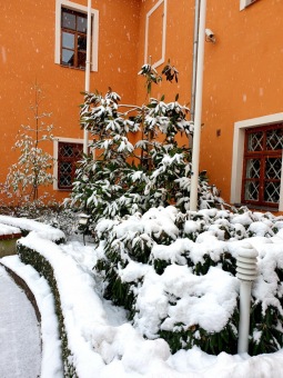 2021 Zima v Arboretu Žampach