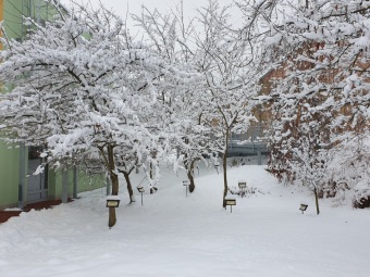 2021 Zima v Arboretu Žampach