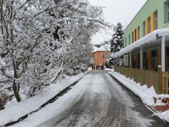 2021 Zima v Arboretu Žampach