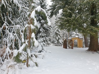 2021 Zima v Arboretu Žampach