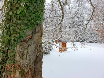 2021 Zima v Arboretu Žampach