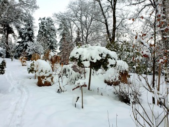 2021 Zima v Arboretu Žampach