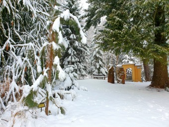 2021 Zima v Arboretu Žampach