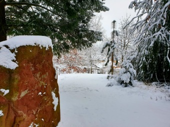 2021 Zima v Arboretu Žampach