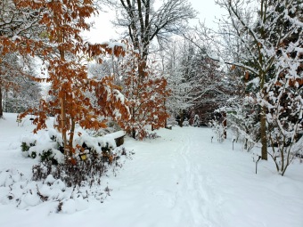 2021 Zima v Arboretu Žampach