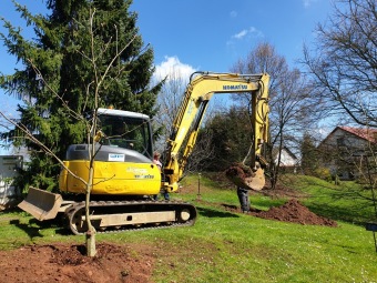 2023 Program dešťovka - přípravné práce - přesadby