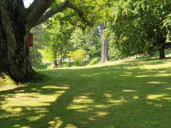 2023 Program dešťovka - průběh prací - nové cestičky