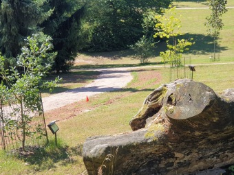 2023 Program dešťovka - průběh prací - nové cestičky