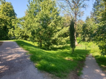 2023-09-07 Závlaha zprovozněna, nové cestičky dokončeny. Lavičky před dokončením.