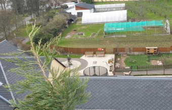 2023 Sequoiadendron giganteum - sekvojovec obrovský - v koruně stromu (18.4.)