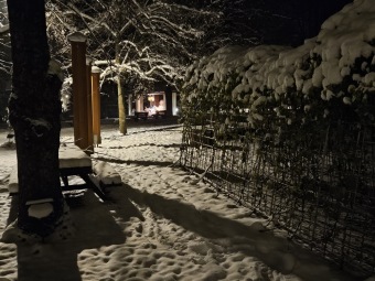 2023 Zimní večer v Arboretu Žampach (1.12.)