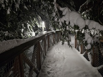 2023 Zimní večer v Arboretu Žampach (1.12.)