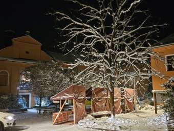 2023 Zimní večer v Arboretu Žampach (1.12.)