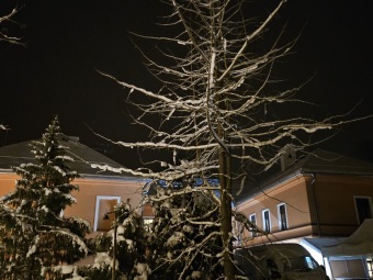 2023 Zimní večer v Arboretu Žampach (1.12.)