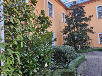 2024 - Zimování choulostivých druhů - leden - teploty -12 st.