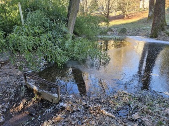 2024 - Zimování choulostivých druhů - leden - teploty -12 st.