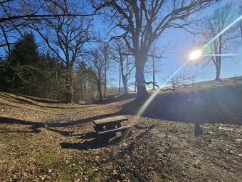 2024 - Zimování choulostivých druhů - leden - teploty -12 st.