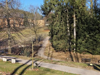 2024 - Zimování choulostivých druhů - leden - teploty -12 st.