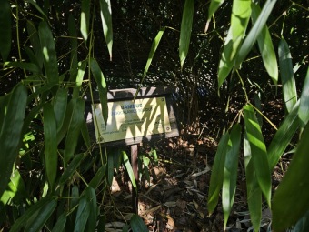 2025 Obnova lávky v mokřadu u bambusária (30.3.)