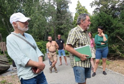 2025 Semenáčky sekvojovců z Arboreta Nový Dvůr - po 35 letech (19.8.)