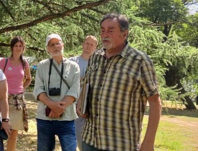 2025 Semenáčky sekvojovců z Arboreta Nový Dvůr - po 35 letech (19.8.)