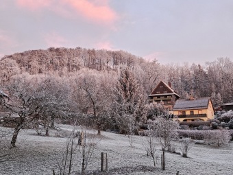 2025 Rozednění v Arboretu Žampach (2.1.)