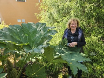 Rostliny koncem léta 2025 (26.8.)