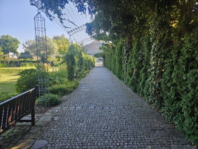 2026 Odborná exkurze UBZ ČR - Lednice - Vídeň - Bratislava (1. - 4.7.)