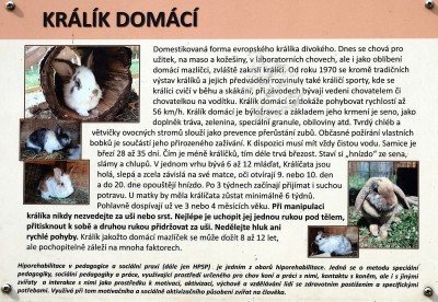 informace
