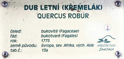 Tento letopocet je neskutecny