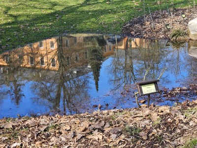 2026 Předjaří v Arboretu Žampach (27.2.)