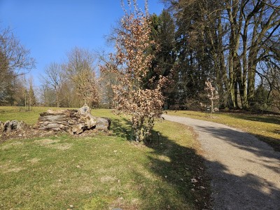 2026 Předjaří v Arboretu Žampach (27.2.)