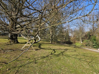 2026 Předjaří v Arboretu Žampach (27.2.)