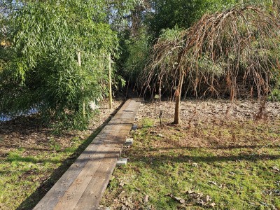 2026 Předjaří v Arboretu Žampach (27.2.)