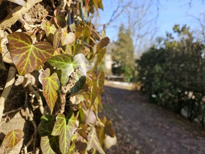 2026 Předjaří v Arboretu Žampach (27.2.)