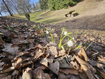 2026 Předjaří v Arboretu Žampach (27.2.)